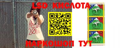 spice Моздок