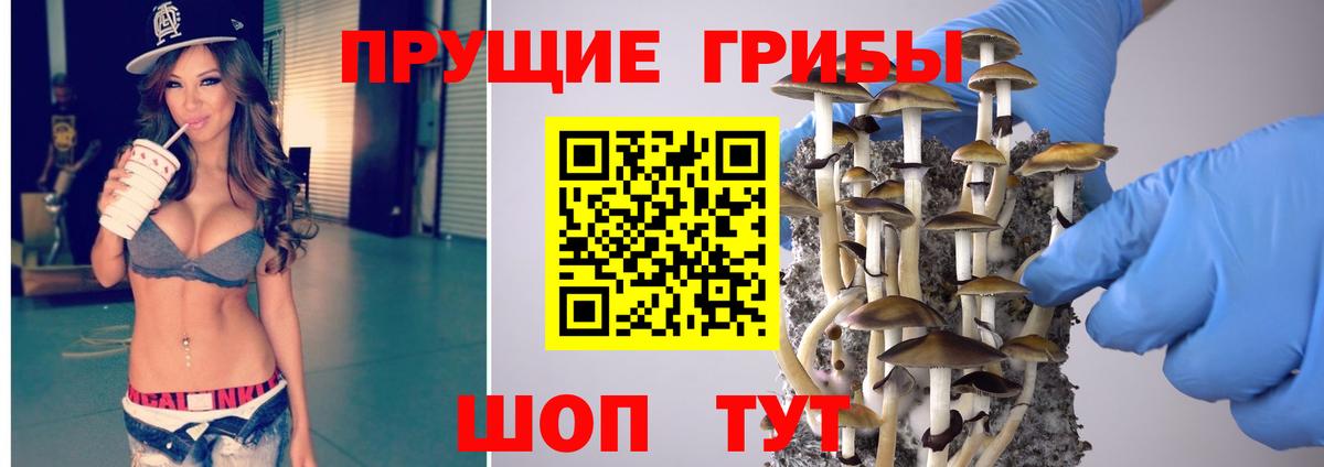 Псилоцибиновые грибы MAGIC MUSHROOMS Тобольск